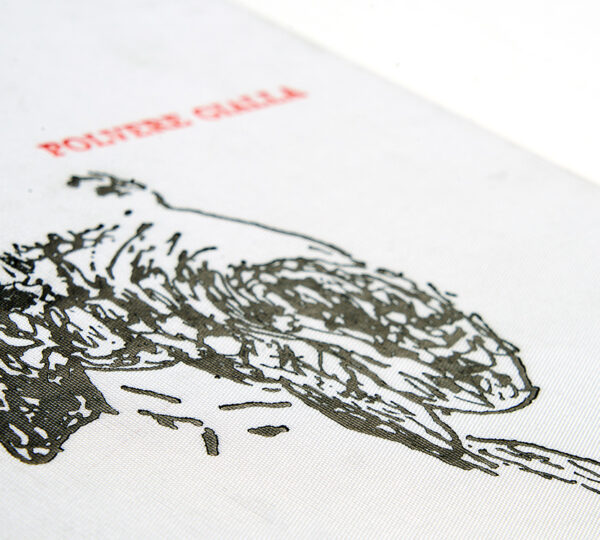 Copertina cartonata in setalux con stampa a caldo 2 colori